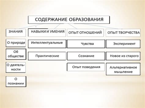 Структура вутинга и его компоненты