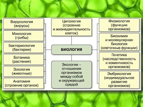 Структура живых организмов