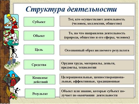 Структура и основные сферы деятельности: