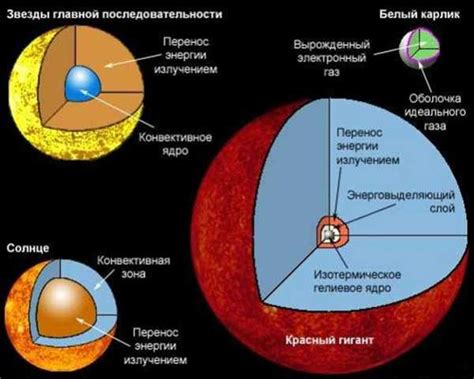 Структура и состав звезды