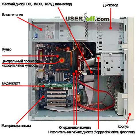 Структура и устройство автофорсунки