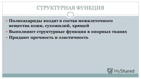 Структура и функции главного компонента хрящей и сухожилий