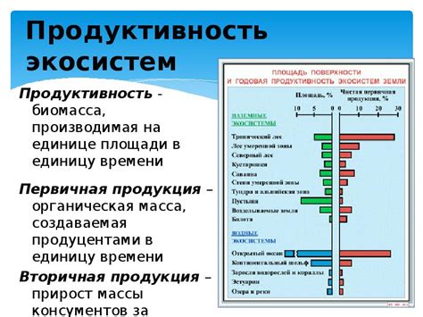 Структура и функционирование