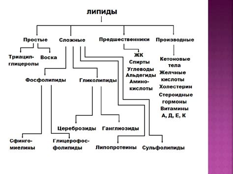 Структура и функция