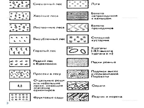 Структура сенокоса