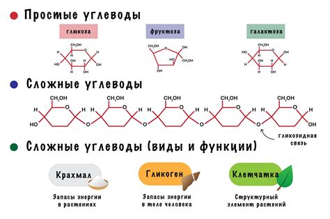 Структура углеводов