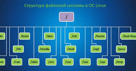 Структура файловой системы Linux