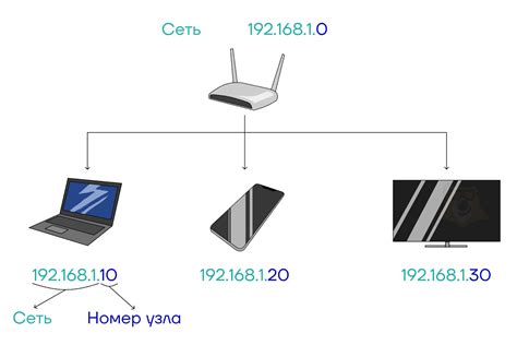 Структура IP адреса