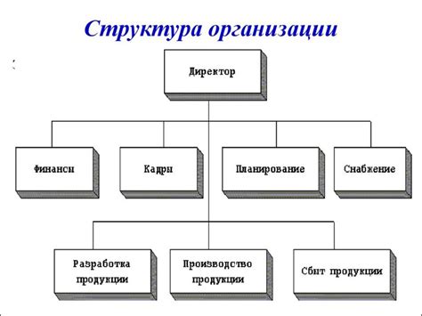 Структурная организация