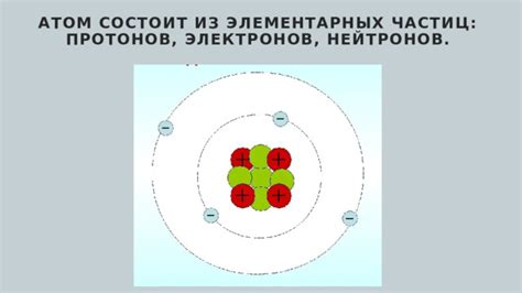 Структурные элементы серого вещества