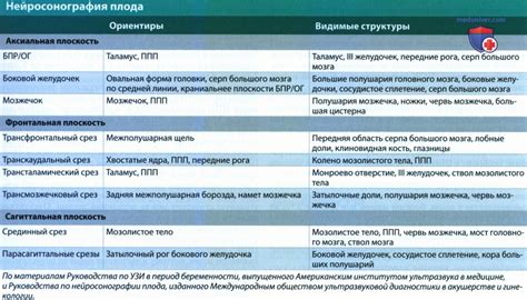 Суб и супратенториальные структуры: что это такое?