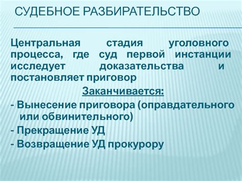 Судебное разбирательство и вынесение приговора