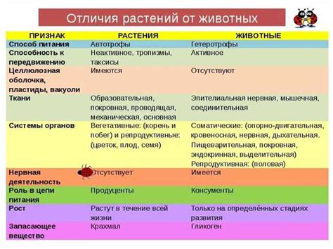 Судороги и конвульсии: разница и сходство