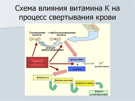 Суть свертывания крови