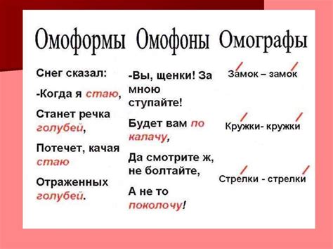 Суффиксы омонимы: основные понятия и примеры