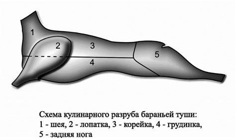 Сушка и окончательная обработка формы кролика