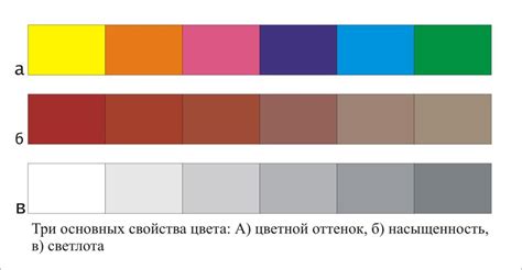 Сушка с умом: сохраните насыщенность цвета