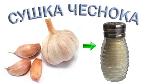 Сушка чеснока для долгосрочного хранения