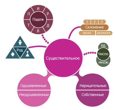 Существительные: постоянные признаки и их значение