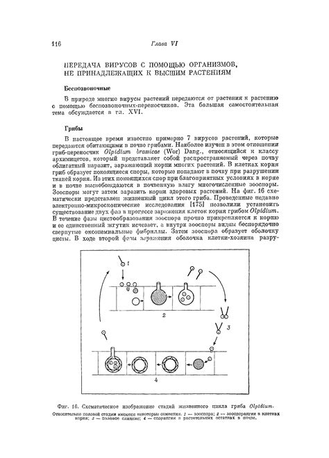 Схематическое изображение