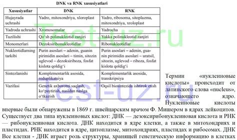 Сходства и различия между пони и лошадью