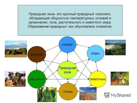 Схожая с природными условиями среда на балконе