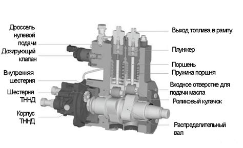 ТНВД и его роль в работе бензинового двигателя