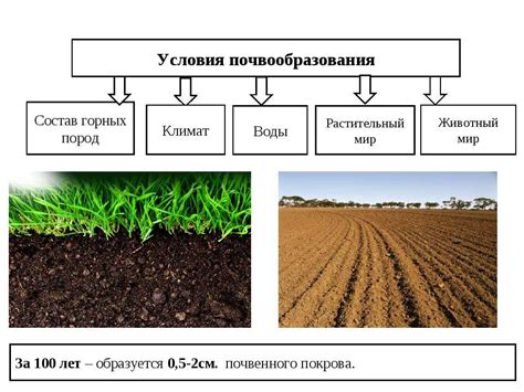 Таблица групп механического состава почвы