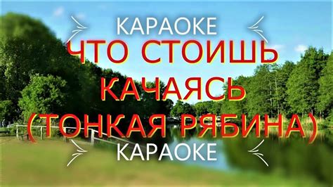 Текст песни "Что стоишь, качаясь, тонкая рябина"