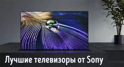 Телевизор Sony: выбор качества и функциональности