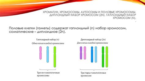 Тема 1: Основы эволюции и наследования