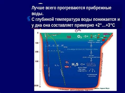 Температура воды и состав дна