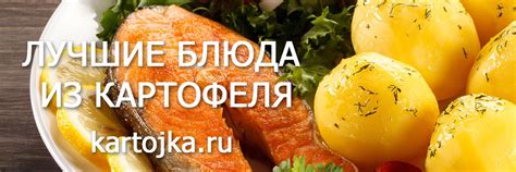 Теплые блюда с корнем цикория: супы, гарниры и горячие салаты