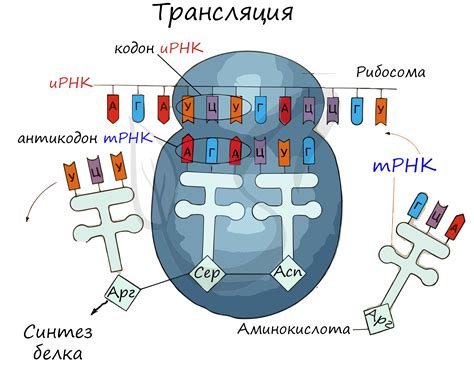 Тестирование и трансляция стрима