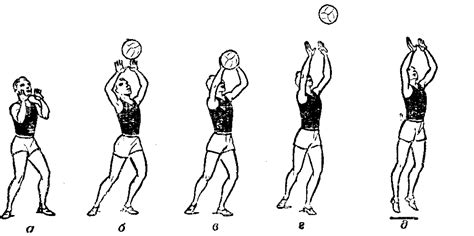 Техника приема мяча в волейболе