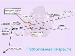 Техники броска и проводки при ловле хариуса на спиннинг