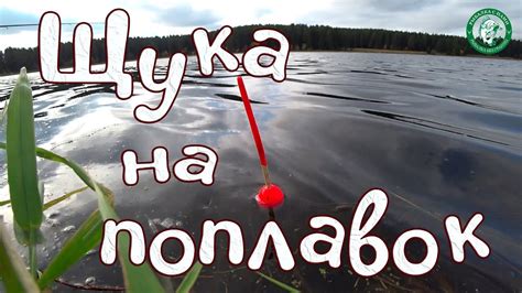 Техники ловли щуки на открытой воде