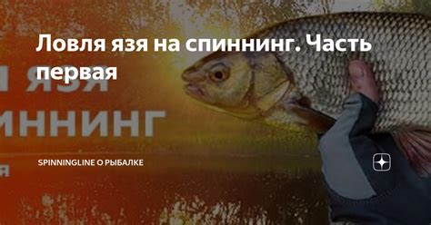 Техники ловли язя на реальной рыбалке