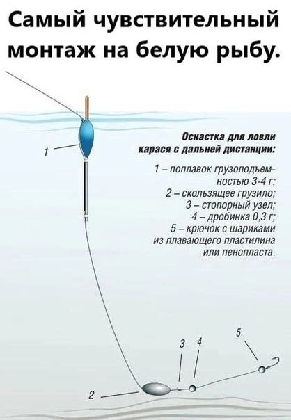 Техники применения бойла при ловле рыбы