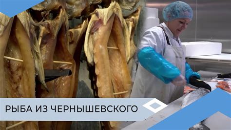 Техники соления рыбы: основные методы и преимущества