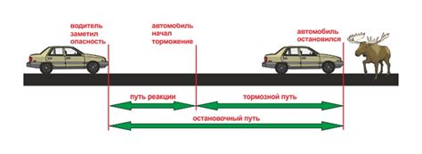 Техническое состояние автомобиля и остановочный путь