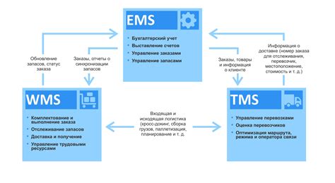 Технологии управления запасами: TMS и WMS