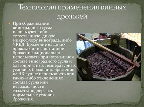 Технология использования дрожжей в производстве вина