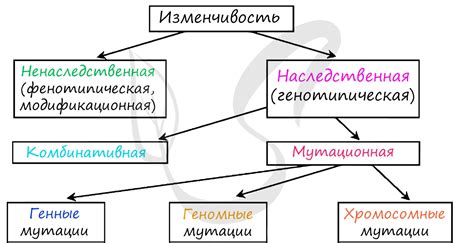 Типы нормы реакции в биологии