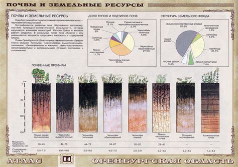 Типы почв и геологические особенности