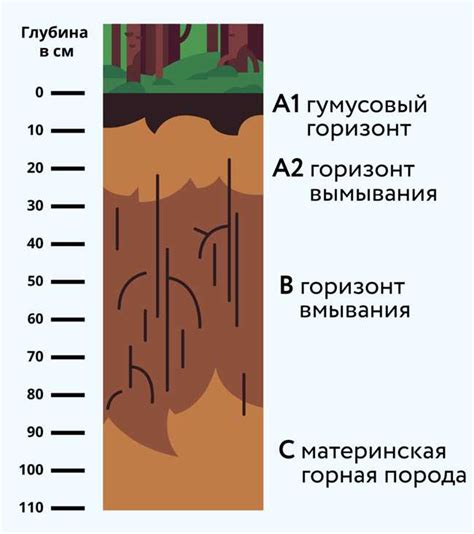 Типы почв и их характеристики