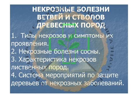 Типы стихийности и их проявления