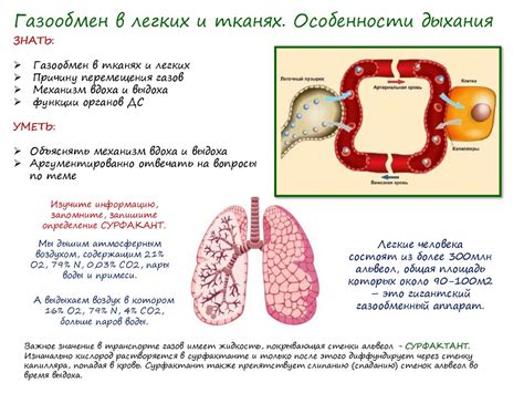 Типы GGO в легких и их причины