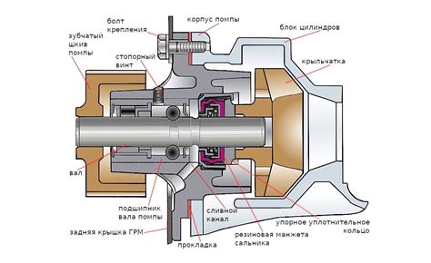 Тип помпы и ее конструкция