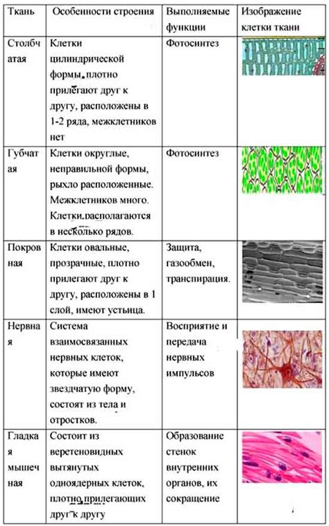 Тип ткани и цвет